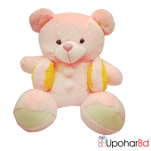 Pink teddy wearing koti